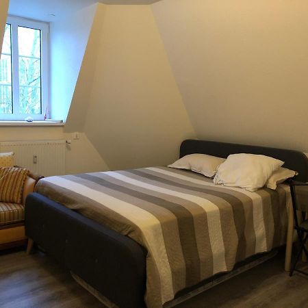 Logement Entier Proche Gare Et Centre Ville Apartment Mulhouse Exterior foto